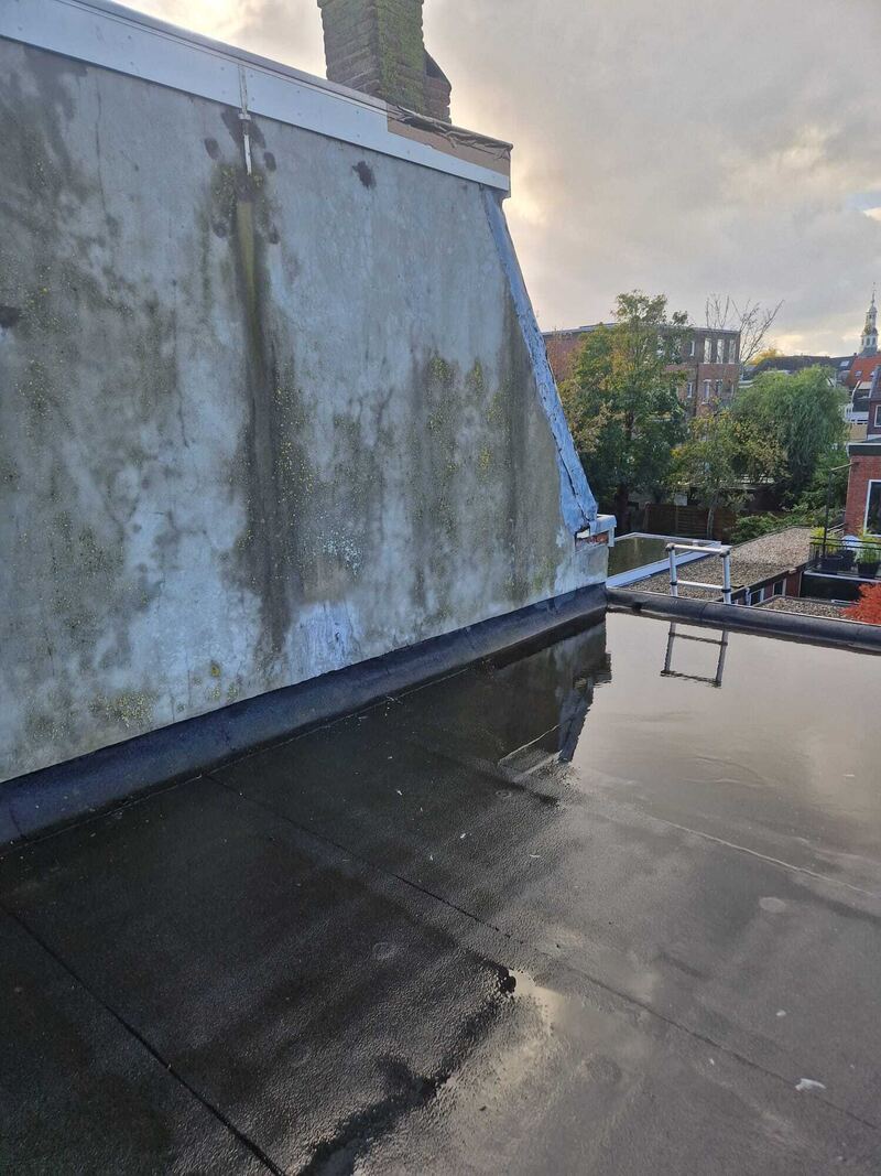 Dakopstand en gevel met algen bij een plat dak