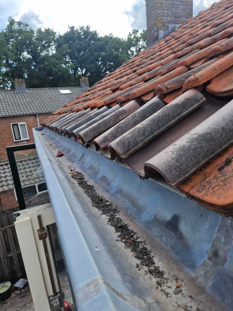 Zinken dakgoot langs een pannendak met bladeren
